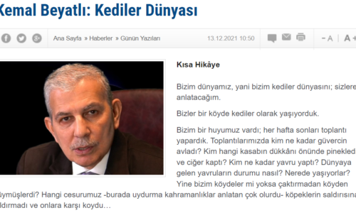 Kediler Dünyası-kısa hikaye